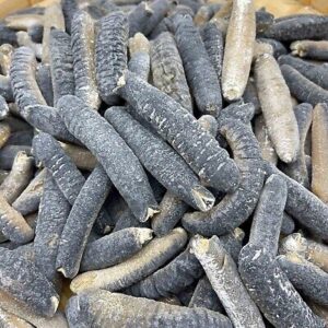 Buy dried sea cucumber online