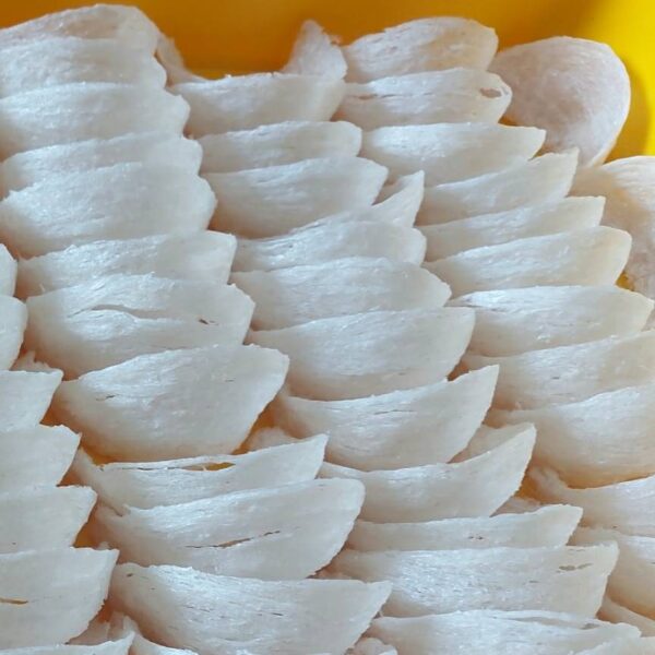 Best quality Dry Swallow Bird Nest