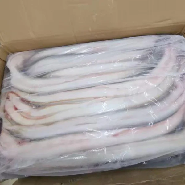 Buy Frozen Eel Online