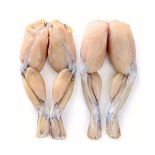 Fresh Frozen Frog Legs For Sale
