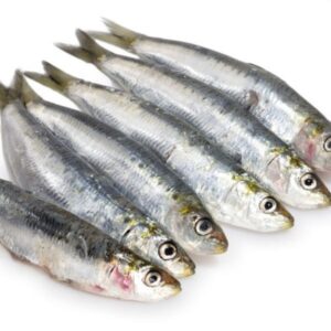 Buy Frozen Sardines online
