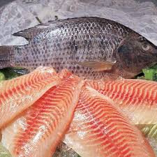 Best Frozen Tilapia for sale